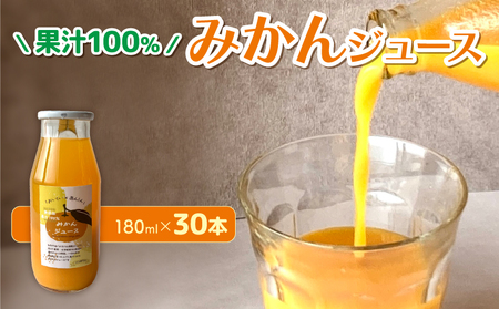 ʏ`100 ݂ W[X 180ml × 30{ _ Y Z ݂ W[X Y_  Y_W[X W[X