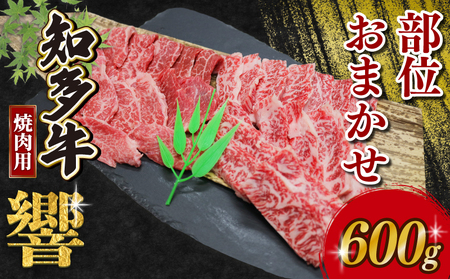 訳あり 知多牛 焼肉セット 600g (600g×1) 冷凍 部位おまかせ 知多牛響 有限会社寿屋精肉店