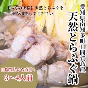 日間賀島の天然とらふぐ鍋 500g 冷凍 てっちり 鍋 天然 とらふぐ ふぐ ふく 雑炊 ふぐ鍋 冬の味覚 日間賀島 出汁 魚介 鮮魚 てっちり 鍋 ふく 雑炊 ふるさと納税 ふるさと納税 愛知県 南知多町 