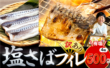 訳あり 塩鯖 約500g 鯖鯖鯖鯖鯖鯖