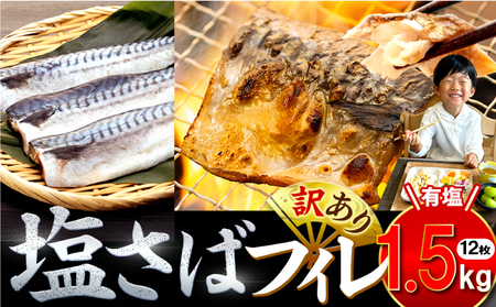訳あり 塩サバ 約1.5kg 鯖鯖鯖鯖鯖鯖