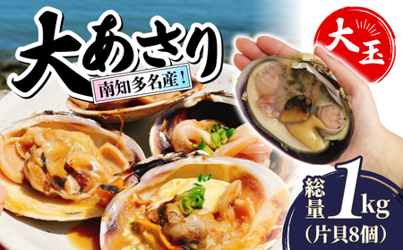 南知多名産! 大あさり カット済み 大玉 片貝8個 1kg 冷凍