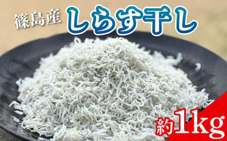 篠島 しらす干し 約1kg シラスシラスシラス