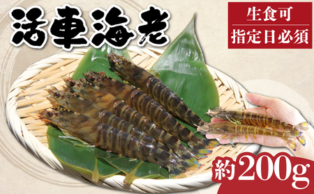 先行予約 活車海老 約200g 指定日必須