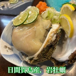 日間賀島産 天然 岩牡蠣 2kg (2~3個) 牡蠣牡蠣牡蠣牡蠣