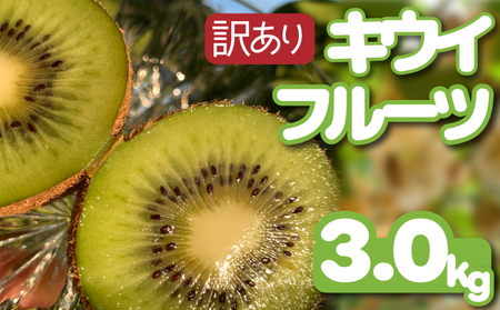 [先行予約][12月上旬~順次発送] 訳あり キウイフルーツ 3kg キウイキウイキウイキウイキウイキウイキウイ