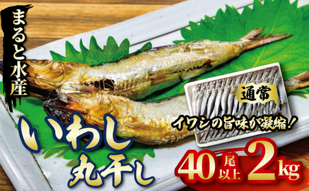 いわし2kg 干物干物干物干物干物