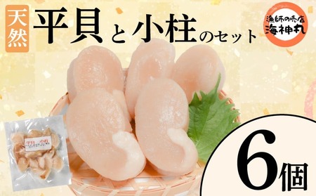 平貝と小柱のセット 6個 冷凍 平貝 タイラギ 貝 魚貝類 魚貝 タイラガイ 魚介 貝類 冷凍 BBQ タイラギ タイラガイ 魚介 刺身 米 刺し身 バター炒め フライ 愛知県 南知多町 人気 おすすめ ふるさと納税海鮮