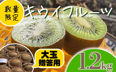 ys\zy12{~zLEC t[c _ O[LEC  N Â łނ LECt[c ݂΂LEC  1.2kg i p 蕨 ͔|Ԓ_E