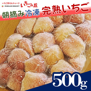 まるは食堂 マルハリゾート いちごの丘の『 訳あり 』完熟冷凍いちご 500g