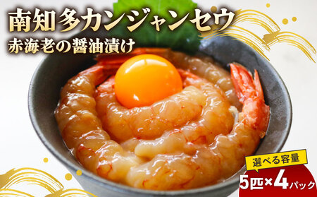 �ԊC�V ��m���J���W�����Z�E 5�C×4�� �C�V�̏ݖ��Ђ� �C�V ���� �G�r �V�N �؍�����