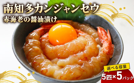 �ԊC�V ��m���J���W�����Z�E 5�C×5�� �C�V�̏ݖ��Ђ� �C�V ���� �G�r �V�N �؍�����