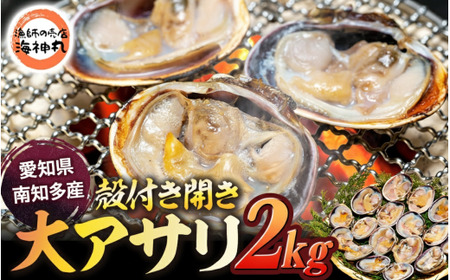 【訳あり】 大アサリ 2kg 愛知県 南知多町