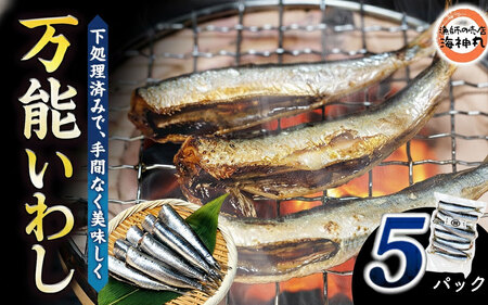 万能いわし 8匹 (約160g~180g) × 5袋 下処理済み