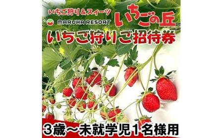 まるは食堂 マルハリゾート いちごの丘『いちご狩り』3歳〜未就学児用ご招待券(1名様用) いちご いちご狩り 章姫 かおり野 甘い 完熟 新鮮 穫れたて 香り豊か 自然
