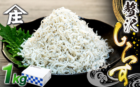 しらす 1kg ( 1kg × 1箱 ) 冷凍 贅沢 ちりめん しらす干し 減塩 極み ごはん 丼 パスタ チャーハン サラダ 魚 料理 山庄 愛知県 南知多町 師崎