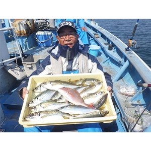 師崎漁協]釣り船 中物乗合1人利用券 ( 釣り 船 フィッシング 体験 海 海釣り 魚 フィッシング 愛知県 釣り 体験 南知多町 ミナミチタ 船 フィッシング 釣り さかな フィッシング 釣り 船 魚 釣り フィッシング 体験 つり 舟 フィッシング 釣り さかな 釣り 体験 )