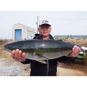 師崎漁協]釣り船 大物仕立船10人利用券 ( 釣り 船 フィッシング 体験 海 海釣り 魚 フィッシング 愛知県 釣り 体験 南知多町 ミナミチタ さかな 魚 つり 舟 さかな )