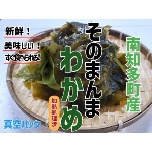 真空 そのまんま わかめ 100g × 8 パック 冷凍 真空パック ワカメ 味噌汁 サラダ 海鮮 新鮮 魚介 海の幸 海産物 刺身 国産 シーフードエム・エム 愛知県 南知多町 [配送不可地域:離島]