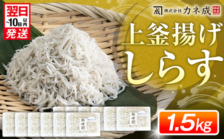 g 炷 v~A 1.5kg ( 130g × 12 pbN )  @ Y F Ⓚ m m  ͂   VX Y Jl lC 