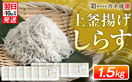 釜揚げ しらす プレミアム 約 1.5kg ( 130g × 12 パック ) 小分け 減塩 無添加 無着色 冷凍 愛知県 南知多町 ご飯 ごはん 丼 料理 シラス 国産 カネ成 人気 おすすめ [配送不可地域：離島] ｼﾗｽ ｼﾗｽ ｼﾗｽ ｼﾗｽ ｼﾗｽ ｼﾗｽ ｼﾗｽ ｼﾗｽ ｼﾗｽ ｼﾗｽ ｼﾗｽ ｼﾗｽ ｼﾗｽ ｼﾗｽ ｼﾗｽ ｼﾗｽ ｼﾗｽ ｼﾗｽ ｼﾗｽ ｼﾗｽ ｼﾗｽ ｼﾗｽ ｼﾗｽ ｼﾗｽ ｼﾗｽ ｼﾗｽ ｼﾗｽ ｼﾗｽ ｼﾗｽ ｼﾗｽ ｼﾗｽ ｼﾗｽ ｼﾗｽ ｼﾗｽ ｼﾗｽ ｼﾗｽ ｼﾗｽ ｼﾗｽ ｼﾗｽ ｼﾗｽ ｼﾗｽ ｼﾗｽ ｼﾗｽ ｼﾗｽ ｼﾗｽ ｼﾗｽ しらす しらす しらす しらす しらすしらす しらす しらす しらす しらす しらす しらす しらすしらす しらす しらす しらす しらす しらす しらす しらすしらす しらす しらす しらす しらす しらす しらす しらすしらす しらす しらす しらす しらす しらす しらす しらす ｼﾗｽ ｼﾗｽ ｼﾗｽ ｼﾗｽ ｼﾗｽ ｼﾗｽ ｼﾗｽ ｼﾗｽ ｼﾗｽ ｼﾗｽ ｼﾗｽ ｼﾗｽ ｼﾗｽ ｼﾗｽ ｼﾗｽ ｼﾗｽ ｼﾗｽ ｼﾗｽ ｼﾗｽ ｼﾗｽ ｼﾗｽ ｼﾗｽ ｼﾗｽ ｼﾗｽ ｼﾗｽ ｼﾗｽ ｼﾗｽ ｼﾗｽ ｼﾗｽ ｼﾗｽ ｼﾗｽ ｼﾗｽ ｼﾗｽ