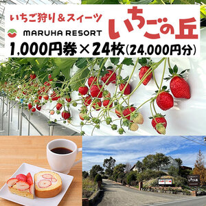 ܂͐H }n][g ̋u1,000~24i24,000~j ws