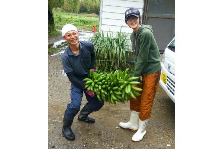 美浜町産ばななオーナー制度◇