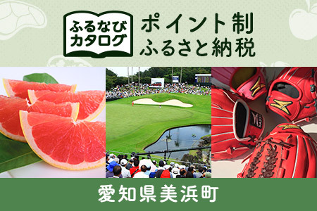 [有効期限なし!後からゆっくり特産品を選べる]愛知県美浜町カタログポイント