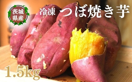 yڏĂ͂ȂсzⓀڏĂ 1.5kgbĂ ₫ ⓀĂ Ⓚ₫ ڏĂ ܂ Tc}C lC َq  XC[c LO   v
