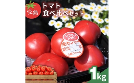 ng}gHה׃Zbg1kg 3ނ̃g}g I bƂ܂ g}g _  ₳ lC VN Yn  t[cg}g Â x n Rs r^~ _CGbg