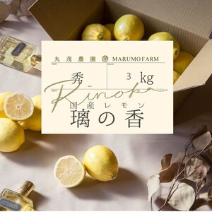  ̂ 3kg | Y  ̍ EG bNX h sgp t[c  ʕ ʌ m l kCEEւ̔zs 2026N1{`2{ɏ