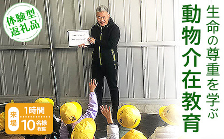 �y�̌��^�ԗ�i�z�����̑��d���w�ԓ�����݋���i����/1����/10�����x�j