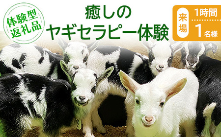 �y�̌��^�ԗ�i�z�����̃��M�Z���s�[�̌��i����/1����/1���j