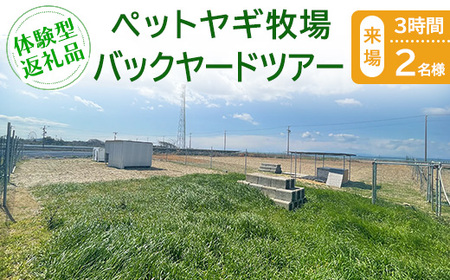 �y�̌��^�ԗ�i�z�y�b�g���M�q��o�b�N���[�h�c�A�[�i����/3����/2���j