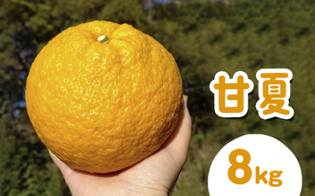 �É�8kg | ���ʌ��� ���܂Ȃ� �Ă݂��� ���k ���񂫂� �������� �t���[�c ���Y ���m�� �m������ ���l�� �_�ƒ��� �Y�n���� ���k�C���E����E�����ւ̔z���s�� ��2026�N4����{�`5�����{���ɏ�