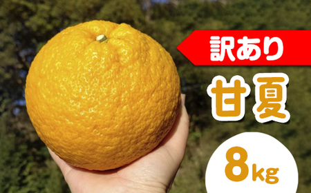 [訳あり]甘夏8kg | 数量限定 あまなつ 夏みかん 柑橘 かんきつ くだもの フルーツ 国産 愛知県 知多半島 美浜町 農家直送 産地直送 ※北海道・沖縄・離島への配送不可 ※2026年4月上旬〜5月下旬頃に順次発送予定