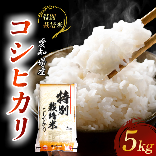 [地元生産者の思いが伝わる一品]特別栽培米こしひかり5kg 令和7年産米◇