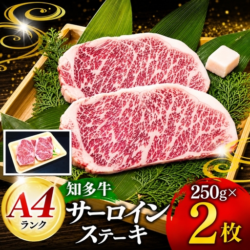 知多牛 高級4等級 【サーロインステーキ】250g2枚 ※北海道・沖縄・離島への配送不可
