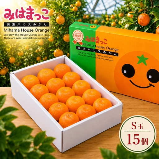 みはまっこ(S玉/15個) 平詰化粧箱 | みかん 季節限定 先行予約 愛知県 美浜町