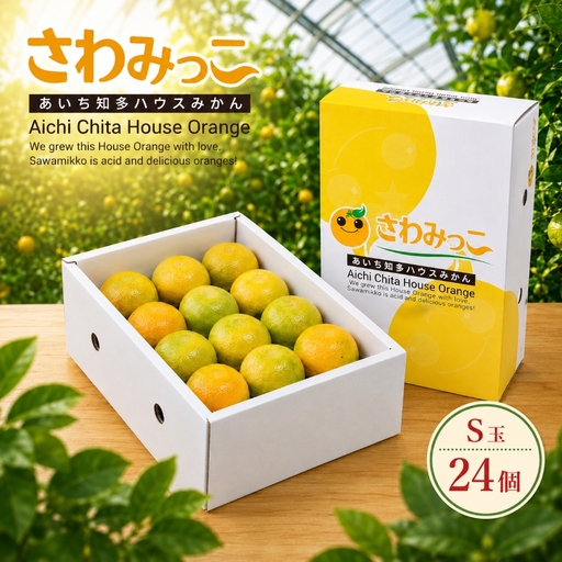 さわみっこ(S玉/24個) 2段化粧箱 | みかん 季節限定 先行予約 愛知県 美浜町