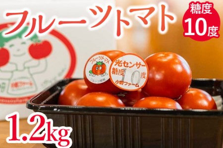 フルーツトマト糖度10度　1.2kg | 愛知県産 国産 野菜 産地直送 高糖度 ※2023年1月～4月まで順次発送予定