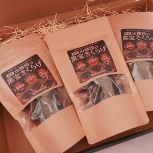 [国産]山賊団の黒宝きくらげ(肉厚プルプル) 20g 3個セット