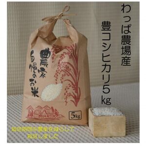わっぱのお米5kg(低農薬豊こしひかり)