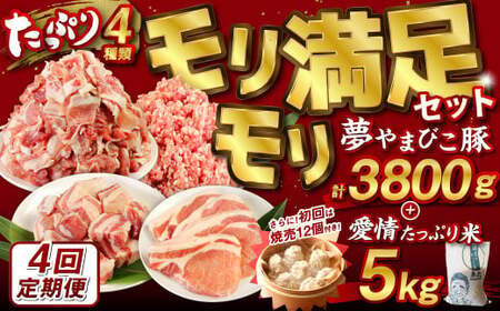 [4回定期便]「夢やまびこ豚 モリモリ満足セット 3.8kg」×「愛情たっぷり米 5kg」(初回は「焼売」付き!!) 豚肉 お肉 肉 お米 米 白米 精米 セット