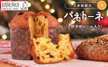 自家製酵母使用のパネトーネ!! 1個入り | お菓子 おやつ