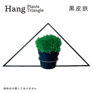 GRAVIRoN Hang Plants シリーズ Triangle 黒皮鉄(プランツハンガー)