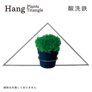 GRAVIRoN Hang Plants シリーズ Triangle 酸洗鉄(プランツハンガー)