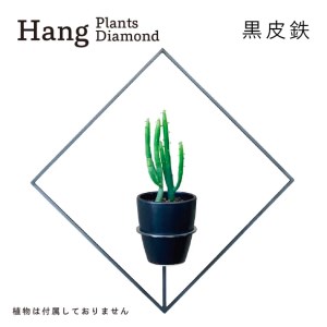 GRAVIRoN Hang Plants シリーズ Diamond 黒皮鉄(プランツハンガー)