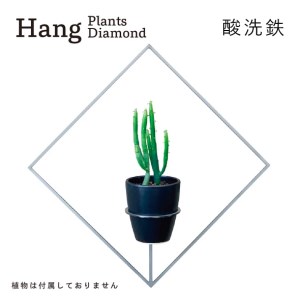 GRAVIRoN Hang Plants シリーズ Diamond 酸洗鉄(プランツハンガー)