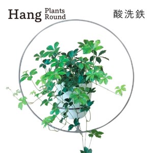 GRAVIRoN Hang Plants シリーズ Round 酸洗鉄(プランツハンガー)